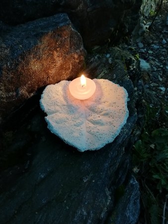 candle-on-the-leaf